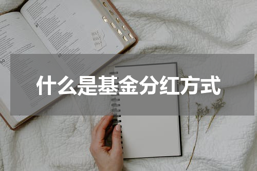 什么是基金分红方式