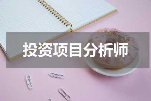 投资项目分析师