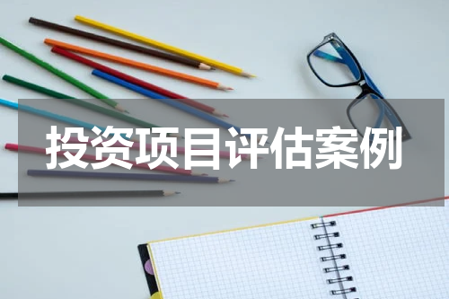 投资项目评估案例