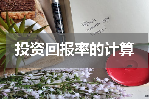 投资回报率的计算