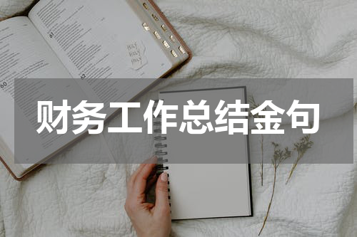 财务工作总结金句