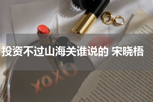 投资不过山海关谁说的 宋晓梧