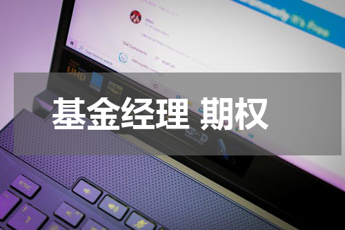 基金经理 期权