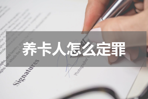 养卡人怎么定罪