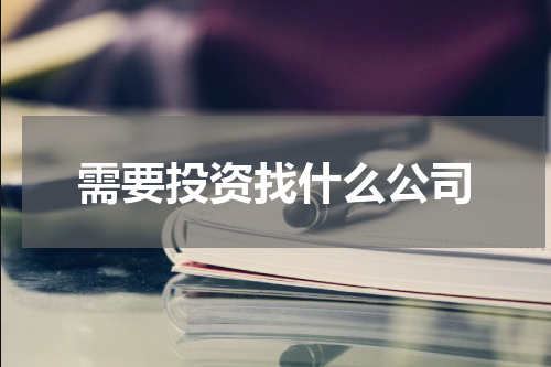 需要投资找什么公司