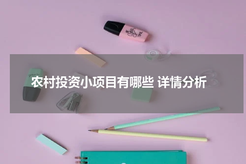 农村投资小项目有哪些 详情分析