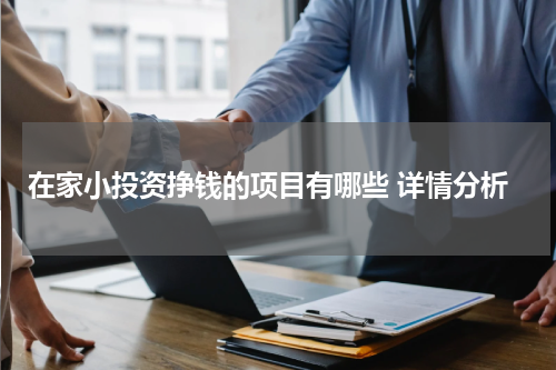 在家小投资挣钱的项目有哪些 详情分析