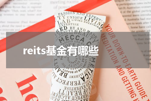 reits基金有哪些