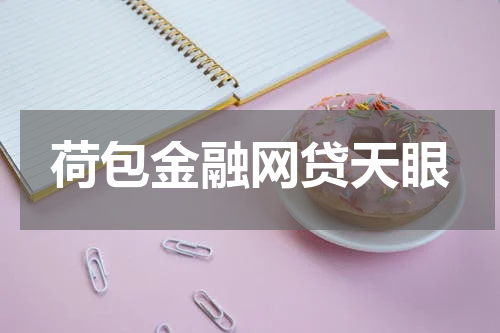 荷包金融网贷天眼