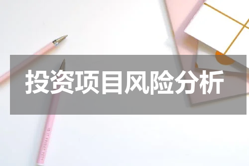 投资项目风险分析