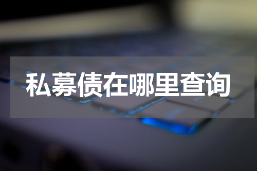 私募债在哪里查询