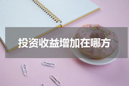 投资收益增加在哪方