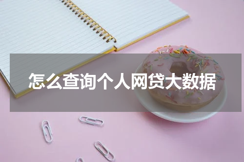 怎么查询个人网贷大数据