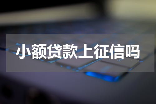 小额贷款上征信吗