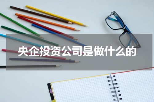 央企投资公司是做什么的