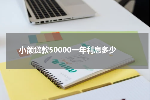 小额贷款50000一年利息多少