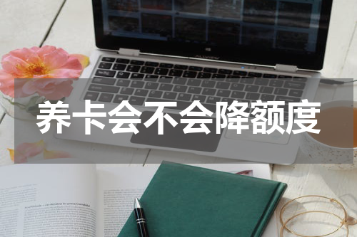 养卡会不会降额度