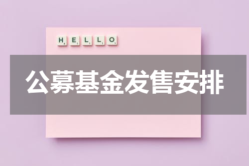 公募基金发售安排