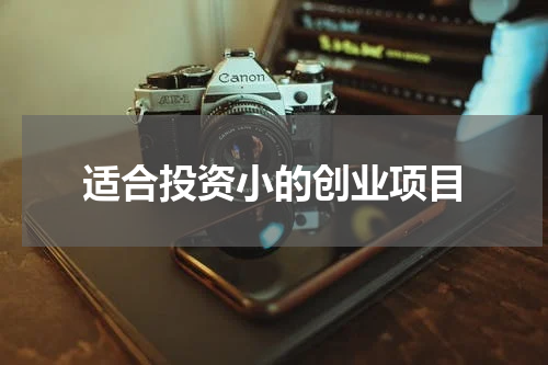 适合投资小的创业项目