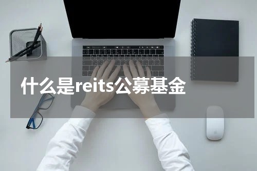 什么是reits公募基金
