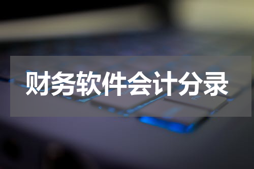财务软件会计分录