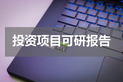 投资项目可研报告