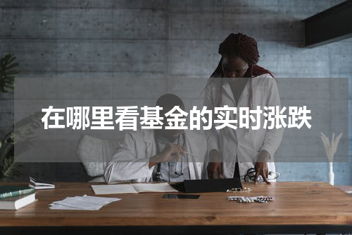 在哪里看基金的实时涨跌