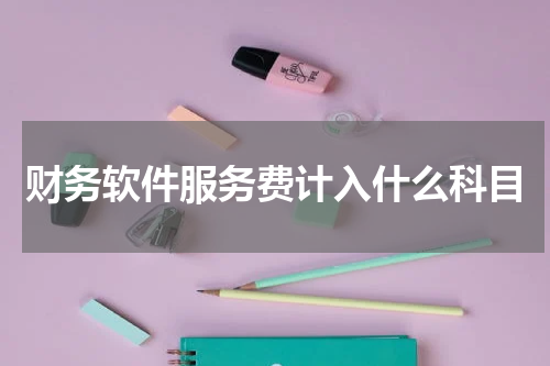 财务软件服务费计入什么科目