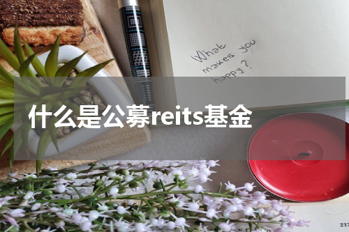 什么是公募reits基金