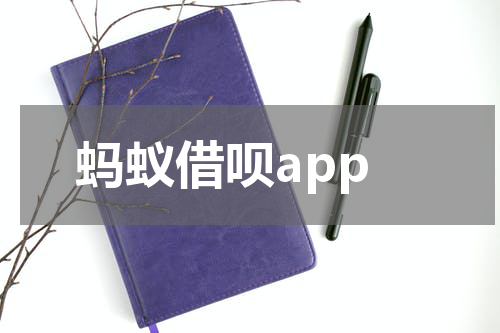 蚂蚁借呗app