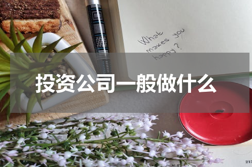 投资公司一般做什么