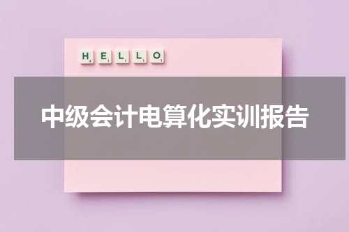 中级会计电算化实训报告