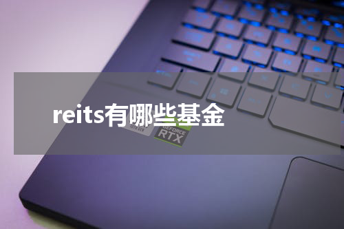 reits有哪些基金
