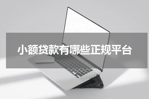 小额贷款有哪些正规平台