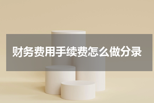 财务费用手续费怎么做分录