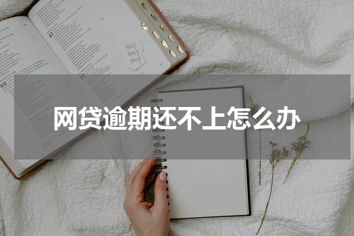 网贷逾期还不上怎么办