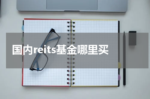 国内reits基金哪里买