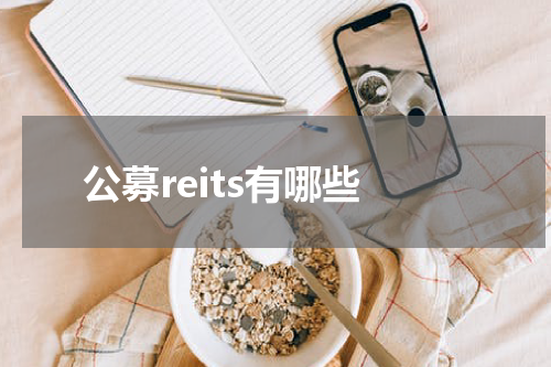 公募reits有哪些