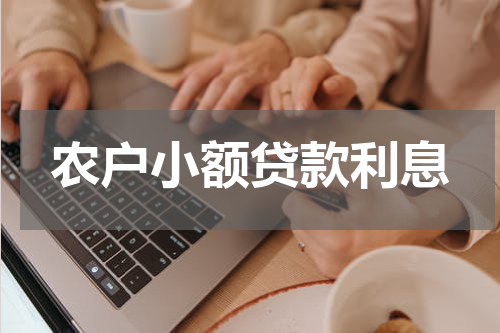 农户小额贷款利息