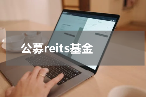 公募reits基金