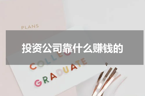投资公司靠什么赚钱的
