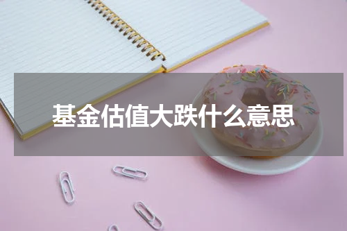 基金估值大跌什么意思