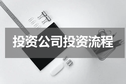 投资公司投资流程