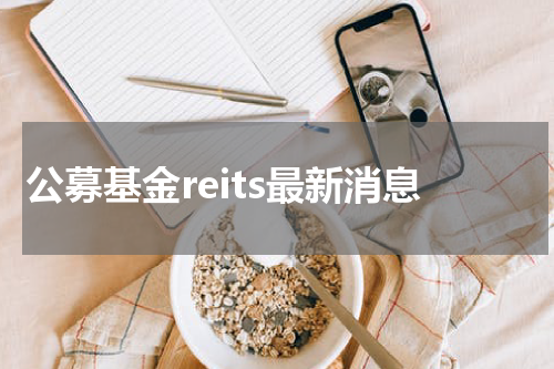 公募基金reits最新消息