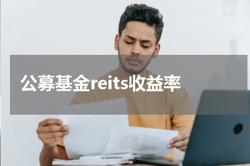 公募基金reits收益率