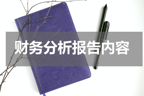 财务分析报告内容