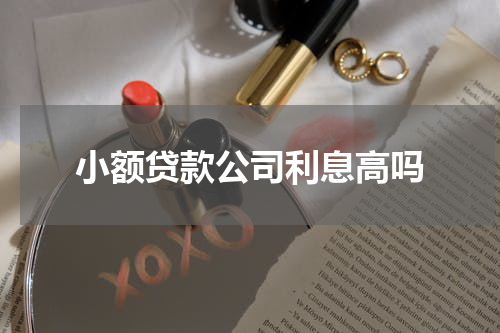 小额贷款公司利息高吗