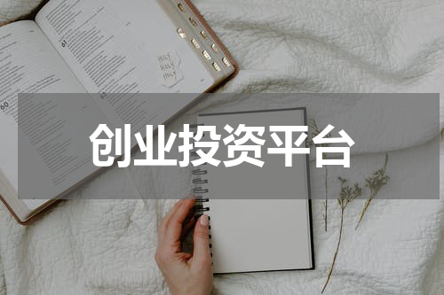 创业投资平台