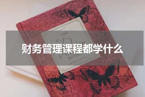 财务管理课程都学什么