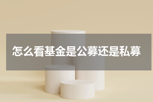 怎么看基金是公募还是私募